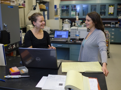 Female professor in a lab talks to a female student. Both are white. The one on the left has her hair in a bun wearing a black top. The student on the right has long brown hair and is wearing a gray sweater.